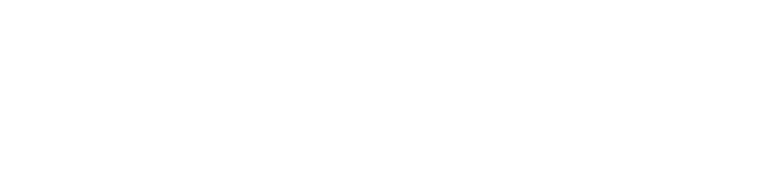 Elite Car Pro