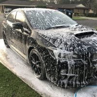 Paint Correction Wash